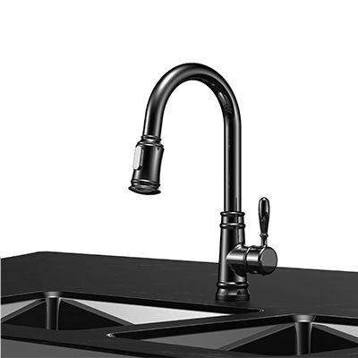 Matt Black Kitchen Faucet