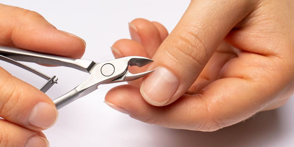 Retail & Chain Stores